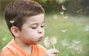 autisme / kind blaast tegen paardenbloem